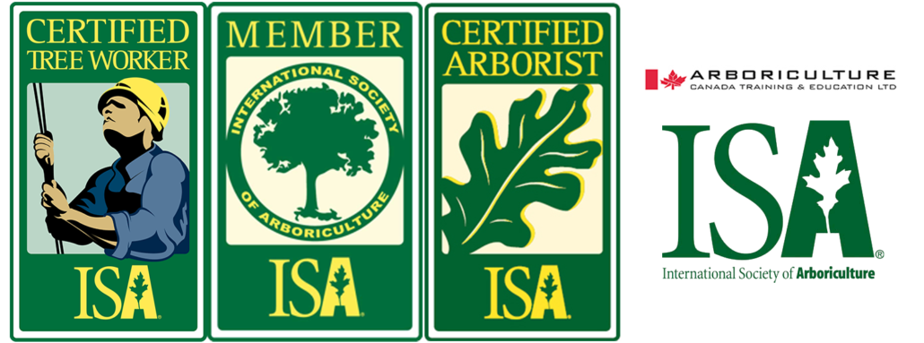 Tree climbing Roma: le certificazioni